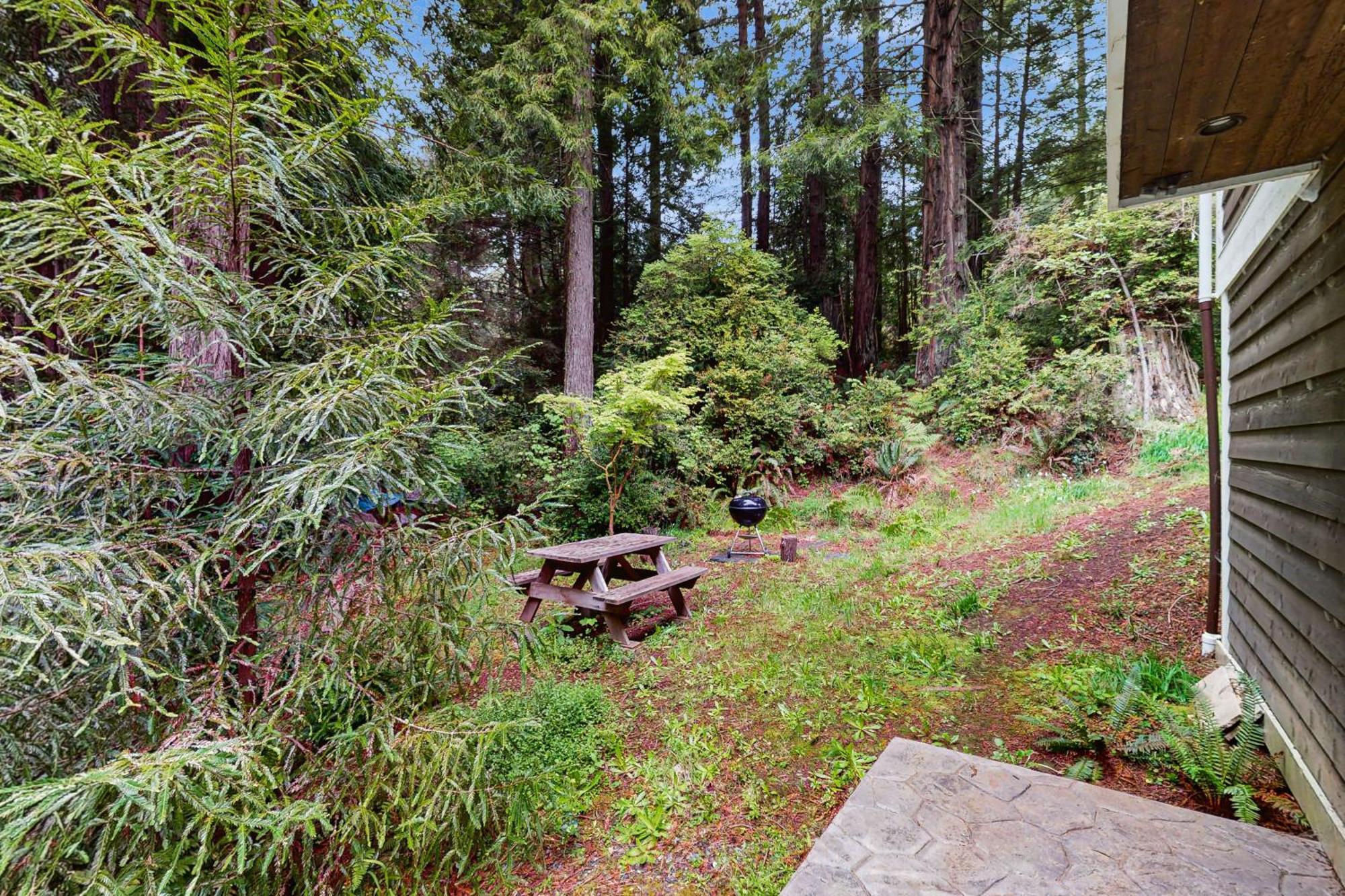 Serene Redwood Retreat アーケータ エクステリア 写真