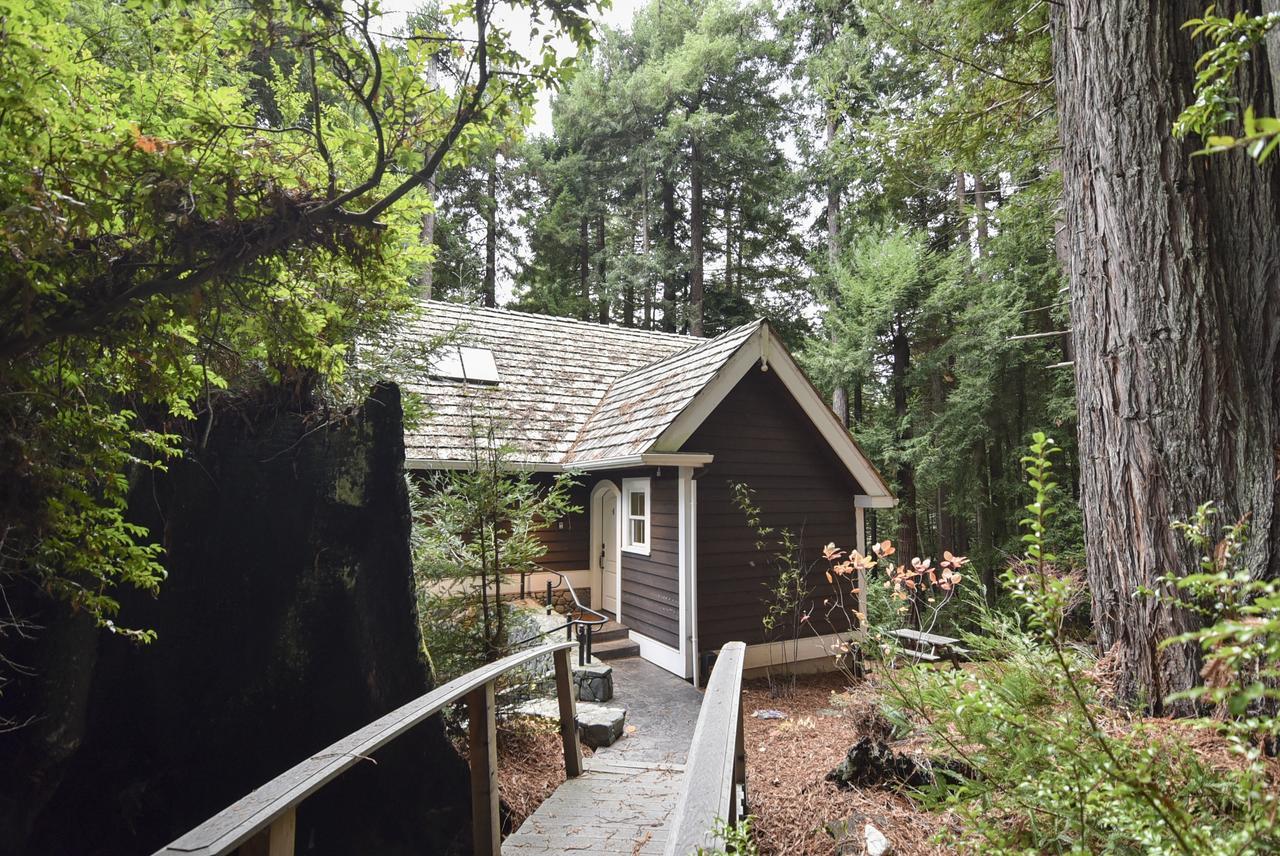 Serene Redwood Retreat アーケータ エクステリア 写真