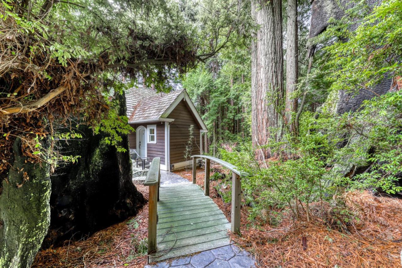 Serene Redwood Retreat アーケータ エクステリア 写真