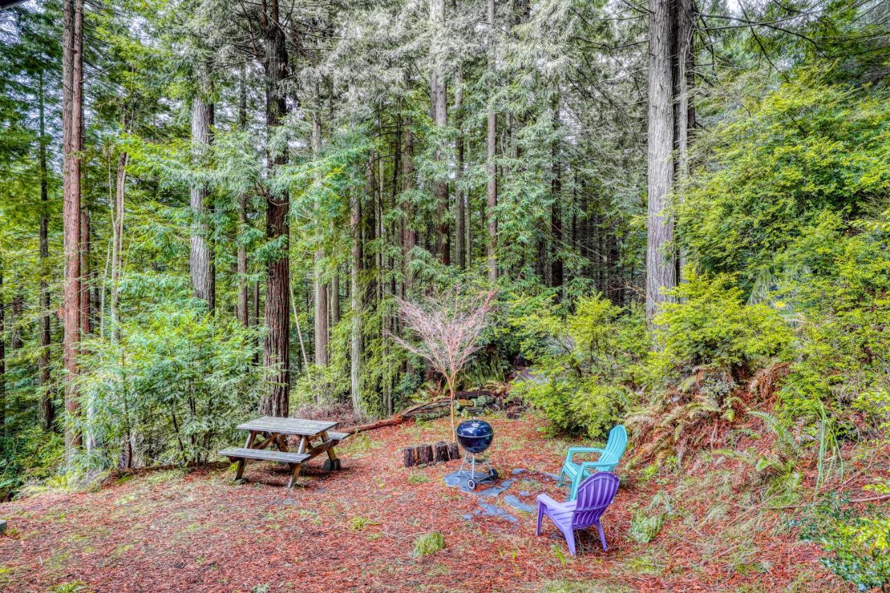 ホテル Serene Redwood Retreat アーケータ エクステリア 写真